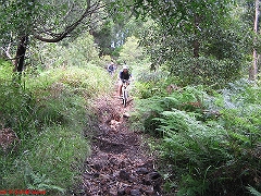 20080210-Bulli 085 
